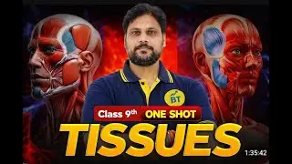 Class 9 Tissues One Shot | Tissues Full Chapter in Hindi | NCERT Biology | Board Exam 2026