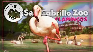 🦩 Gorgeous Flamingo Habitat Speedbuild in San Cabrillo Zoo! | Planet Zoo Sandbox Series