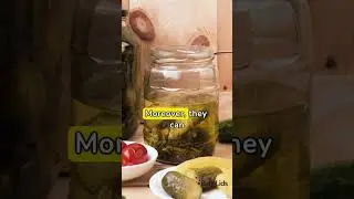 Unique Pregnancy Health Tips: Fermented Foods Essentials