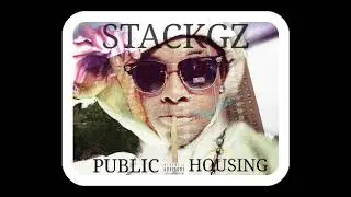 Stackgz Gilbert arenus