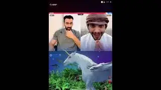 لايف تيك توك مقمقش و حط جاي، ماقبل معركة البلوت !
