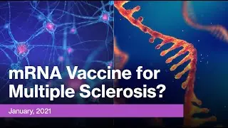 mRNA Vaccines & Their Potential In Multiple Sclerosis