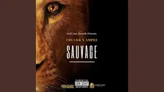 Pas d'amour (feat. Dawa Mafia)