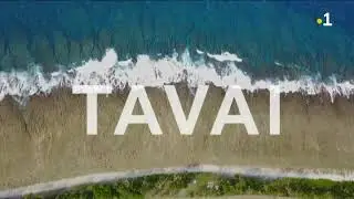 TALATUKU: L'organisation sociale de Tavai