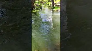 ASMR, The sound of throwing stones into the water, Satisfying Nature ASMR #asmr #cute #nature #cute