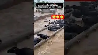 pray for Punjab#Punjab #flood#nature#short #white shirt #trending video #YouTube