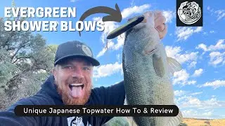 How To Fish EPIC Japanese Topwater The Evergreen Shower Blows Spook