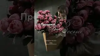 #shortvideo #україна #song #shorts #sammer #beutifull