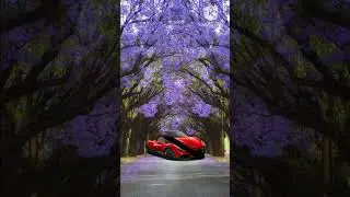#red car challenge 89%always fail
