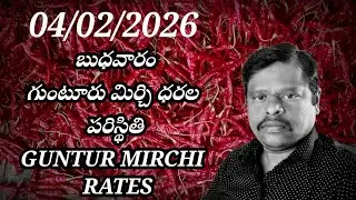 4 February 2026 GUNTUR MIRCHI MARKET RATES గుంటూరు మిర్చి మార్కెట్ ధరలు 