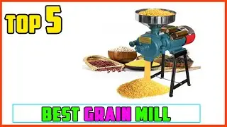 TOP 5 Best Grain Mill 2026 | Beginner to Pro: Which Grain Mill Should YOU Buy? (Top Picks Inside)