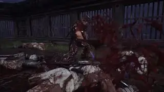 DMC5SE-DmCDE-NG2B FreeStyle
