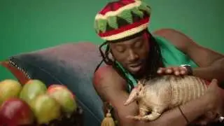 Von uns. Von hier. A vs. B: Reggae Muffins -- Marianna
