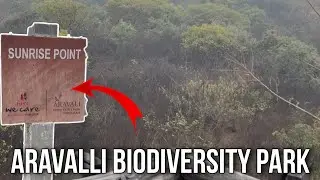 Aravalli Biodiversity Park, Gurugram || Nature Walk By New Delhi Nature Society || Full Tour