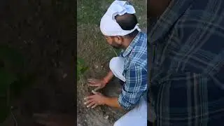 प्रकृति से प्रेम ही सच्ची मानव सेवा है,Manav Seva Charitable Trust 🌿#manavta #nature #naturelovers