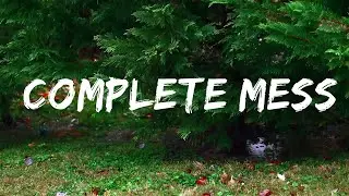 5 Seconds of Summer - COMPLETE MESS (Lyrics)