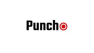 Punch Logo Animation