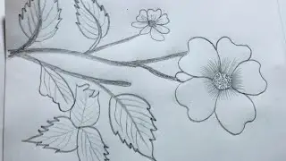 নতুনদের জন্য সহজেই ফুলের আঁটিস #flower #art #vidio #vairalvideo 