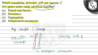 Which mendelian principle will not operate if two genes under study are close together? (a) Pair...