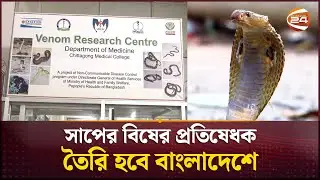 প্রথমবারের মতো দেশে তৈরি হবে অ্যান্টিভেনম | Snake Anti Venom in Bangladesh | Munshiganj | Channel 24