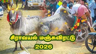 சிராவயல் மஞ்சுவிரட்டு 2026