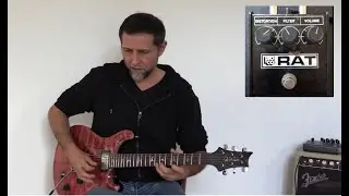 LATINO JAM with PROCO RAT 1985 - PRS CUSTOM 22 - FENDER SUPERSONIC 22W