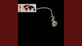 Step.4D x elephonia Improvisation 1 (Live at VEKKS, Vienna, 2025)
