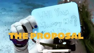 'The Proposal