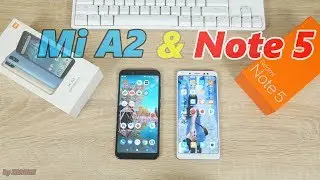Xiaomi Redmi Note 5 или Xiaomi Mi A2? Какой смартфон купить в 2018-2019 году?