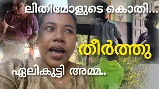 കൊതിയും ആഗ്രഹം സാധിച്ചു  #viralvideo #love #trending #travel #lijisujith #idukki #aroor 