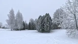 Winter Wonderland Meditations | Frost Trees & Silent Recreation Areas | Touring my White Winter
