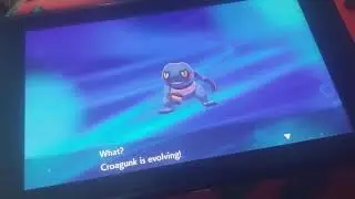 how to evolve your Croagunk into a Toxicroak in pokemon sword and shield