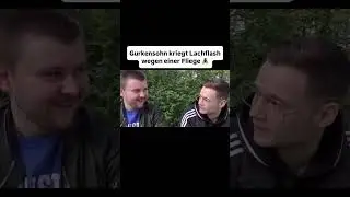Gurkensohn & Inscope21 Lachflash 🤣 #memes #deutschememes #lachflash #inscope21 #gurkensohn #fliege