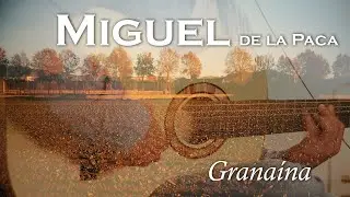 Miguel - Granaína - guitarras alejandro esteva