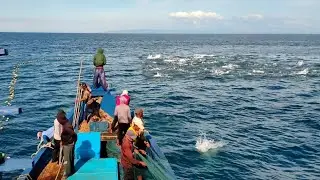 purse seine, this is how fishermen catch fish in the sea