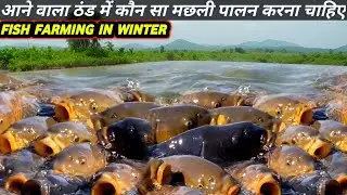 Aane Wala thand mein kaun sa machhali palan karna chahie / best fish farming in winter season