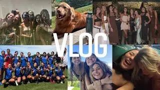VLOG// finde
