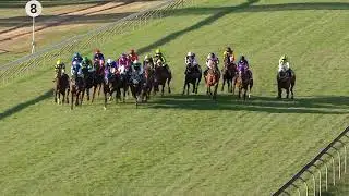 Drone footage 20210606 Race 8 won by BATTLE FORCE