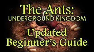 The Ants: Underground Kingdom - Updated Beginner's Guide