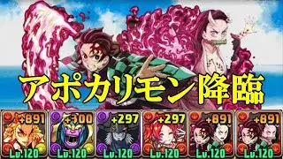 【アポカリモン降臨】スキル上げ有り！！炎柱・煉獄杏寿朗✕竈門炭治郎&竈門禰豆子で周回！！【パズドラ】【1枚抜き】