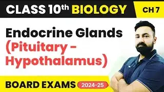 Class X Biology Control and Coordination Topic : Endocrine Glands!!!