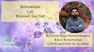 Class 11 Biology | Biomolecules: Classification of Enzymes & Simple vs Conjugate Enzymes | Lecture 7
