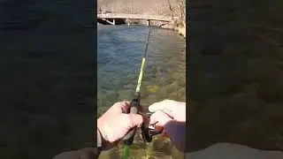 Cherokee Trout Spot #1. Acquoni Bridge / 441
