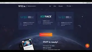 W12 победит мошенничество в ICO