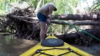 Temptation of Exploration - Hunter River by Kayak