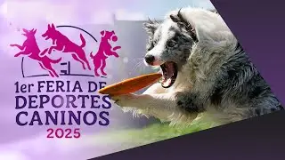 PRIMERA FERIA DE DEPORTES CANINOS en Tlaxcala | Llena de energ&iacute;a, ladridos y talento perruno.