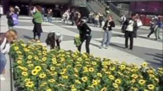 GGTV Stockholm Guerilla Gardening Golden Triangle Event