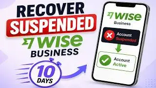 Recover Suspended Wise Business Account in 10 Days
