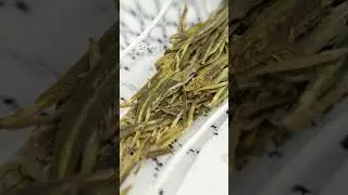 How Do China's Six Traditional Tea Types Come to Life? Let's Explore! 🌱🍃🍵