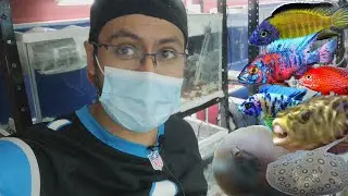 Una importación muy complicada (Transhiper México)